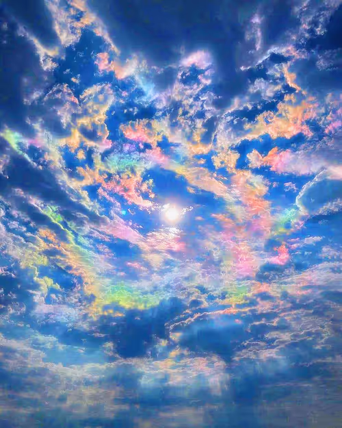 Item #43041745947340501395762136135645569351420757841075512759923267231508854734858 Media