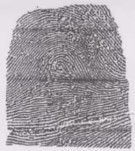 Item #12077398614957604126810963825528982293960989825588722640549033149099906433025 Media