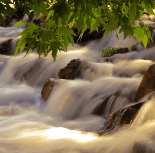 Item #56114376456071127857600424164689415620023799023345491191686521118389929246721 Media