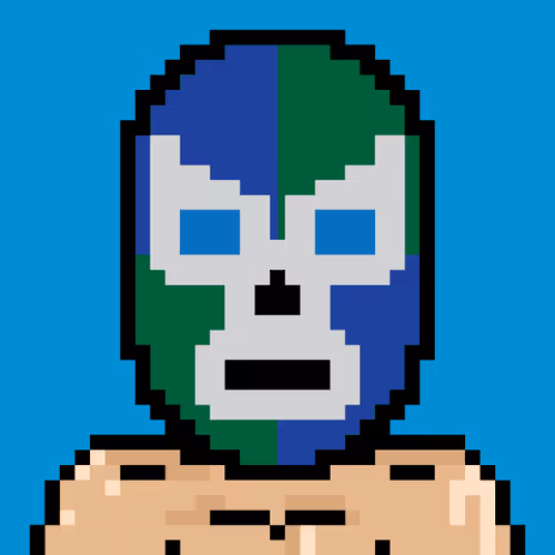 Luchador #203