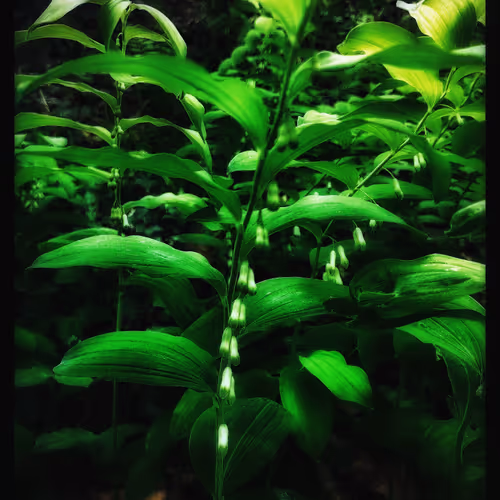 3787080761074609709675817509753112159059746763483256848434353746912407977985