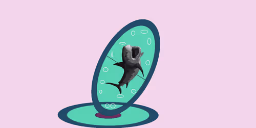 Item #83533924565478375256540621348068203140448736986529962336926819170966562668644 Media