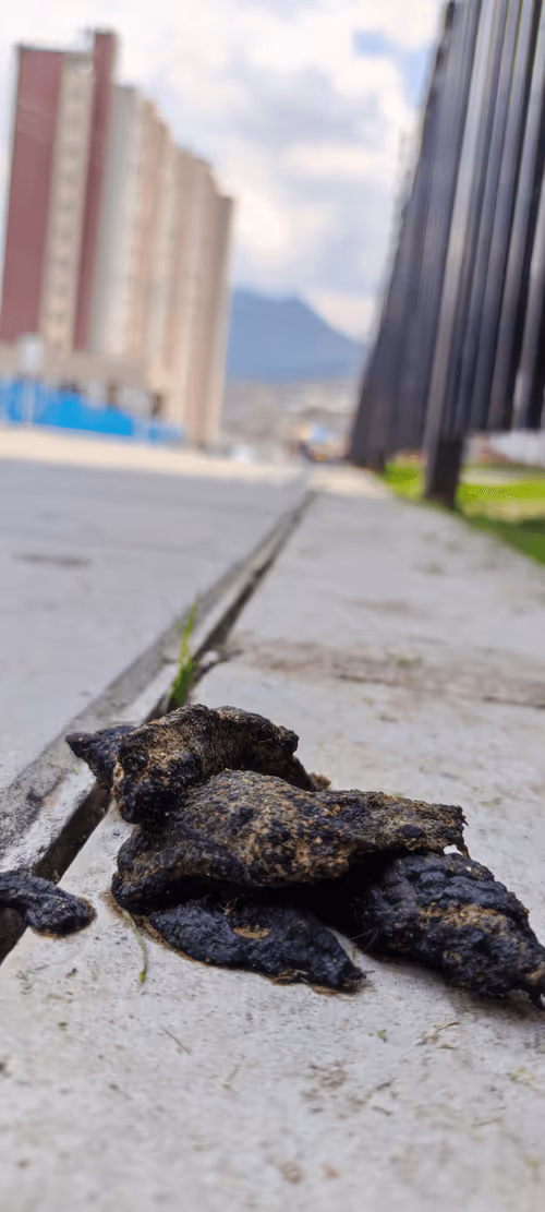 Item #46030170572338065013954339165187362546387663606248340675285172515644586852353 Media