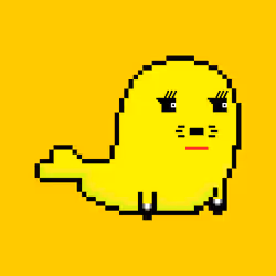 78172764965519271236128275620684069680728459946645540966256637809033968877569