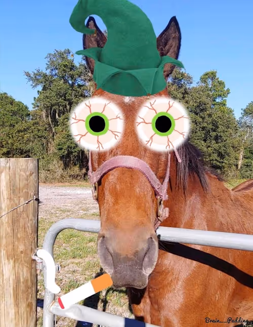 Item #113439454691178996606333270529637530145403269935042134011405949882550081028100 Media