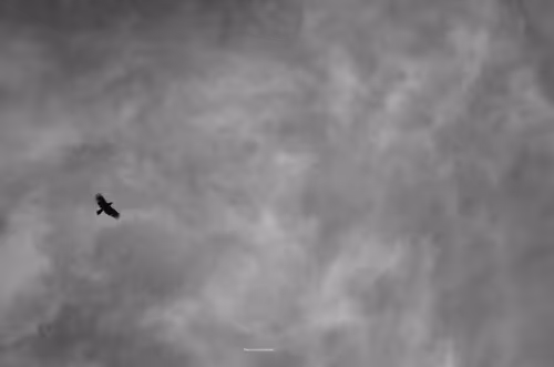 Item #88588118460762935851954819290277197949236789267554687293919040377049489342465 Media