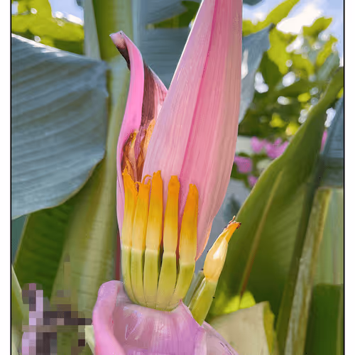 Item #44841669653503183183451948352729976287069847475674991683319661603022836858882 Media