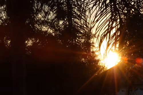 Item #47344123980109973813634142770242239438764360713225161879961011987953018208257 Media