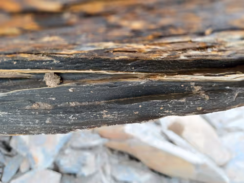 Item #32708508987210996203505439108186848896243903998336501445034175509026905784321 Media