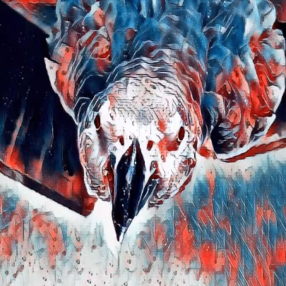 Untitled Collection #241708356