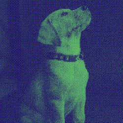 11276162529628641556553056529614973332754405277106184420845744986138777485313