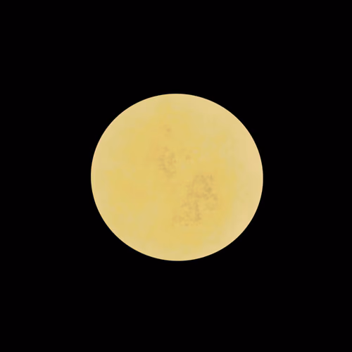 Item #64571778775501231798877341510065987949669681575397989161786147463667109593089 Media
