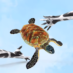 Createing new planet 026    sea ​​turtle