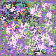 106893548372693171049138493794412083069518100700086217201222694285134029389825