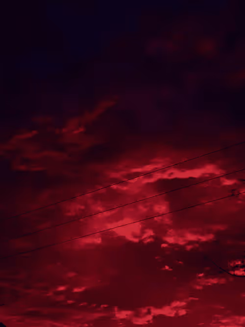 Item #83958100256980711035398363150481960541013843163520717239348696172716540035073 Media