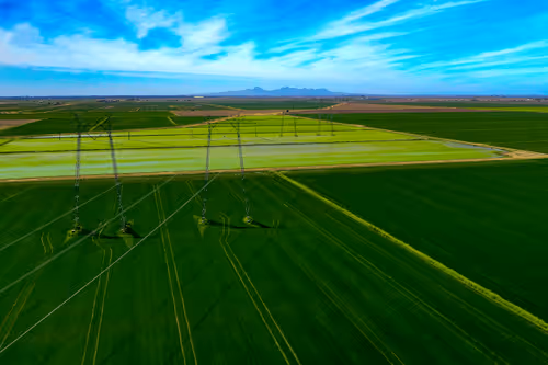 Item #1864235862486587087410937482126233260088053295403624046406936174687743377409 Media