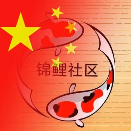 Untitled Collection #112219304