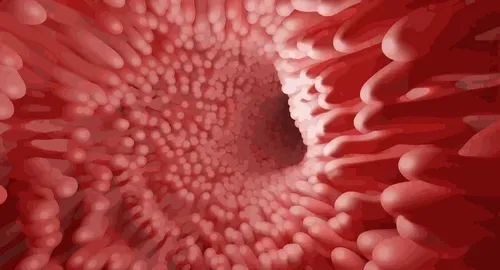 Item #12337132099513438674908260911941977288484371890188928884882081384210160943109 Media