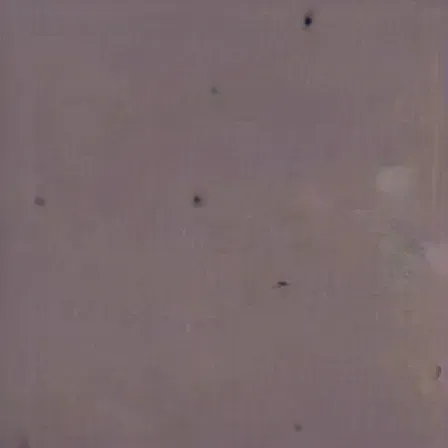 Item #69582821610154797198649513452028805967157135500521546609678814671713983266817 Media