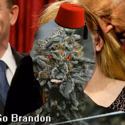 21688527815507990779780435242269546376679550267989735943769099067839502876673