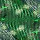 21614253639473209664697341914161628931534500446490140867425249685426348752899