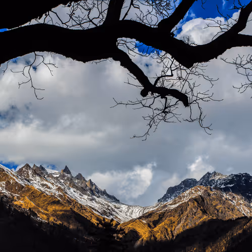 Item #39642702182760733779076736893142354340021633392170204061004215605988069212161 Media