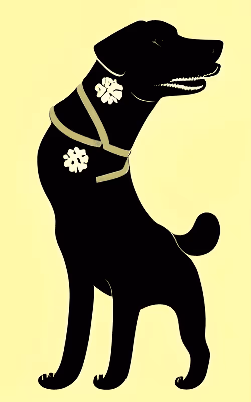 Item #71122345779817483710868223122757103532746802018710263580709717250659368042497 Media