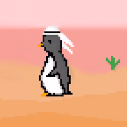 arabian penguin