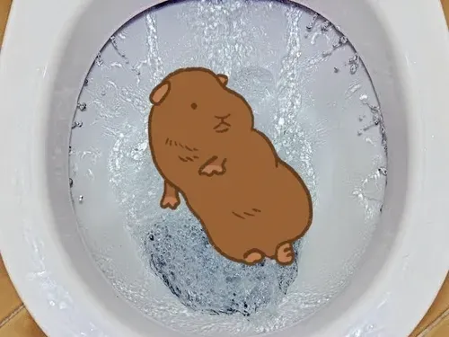 Item #46866292737309590364187050766198939017453968217752602025256106667056910303233 Media