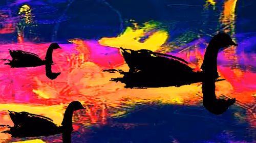 010102 swans