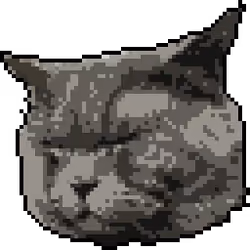 AngryCat Roni 03