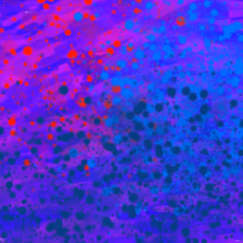 Item #101489564439788178126902921289233087459505798872744163373732071739329376944158 Media