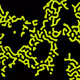 101701094206175850218338394222111736152098102952512760406699235811326401970177