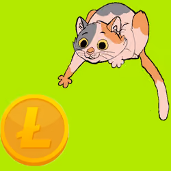 6350837724175369871207491628993880744259048437356542206956245725614622900225
