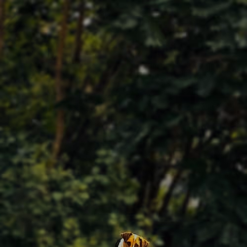 105956943892832721064422546310020667446279873070052811981381323411029235859457