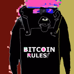 Bitcoin Rules .08