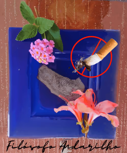 Item #42165497215799268651933513800091680414625417379712449060150831247319191519233 Media