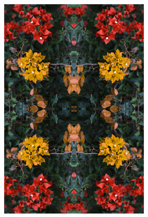 Item #43460632666851788509926658809228942644506618275693919397643606302135997693953 Media