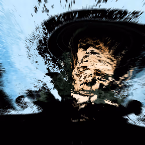 Item #2899112916457178575277215931124513593446024604948608235200480914400295780353 Media