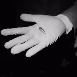 109162157552346088047496633038404394118504199992061596446112929315958617538561