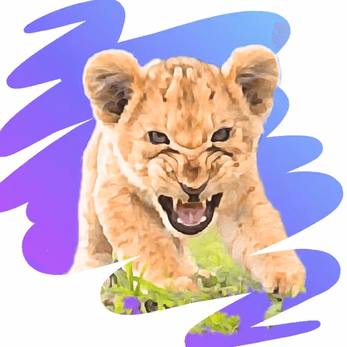 RoaringBaby