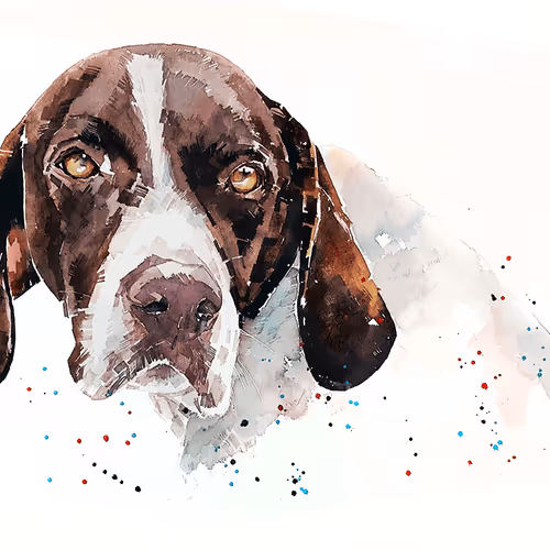 Item #15308155937593783866228062712704217529335676444312394672786838588637065510917 Media