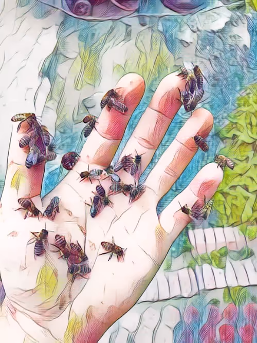 Item #101599579626109009666607068920778550362968334718480795982881728441878711369729 Media