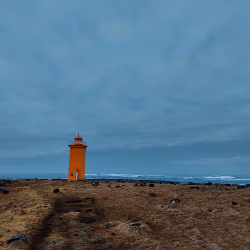 Untitled Collection #132941645