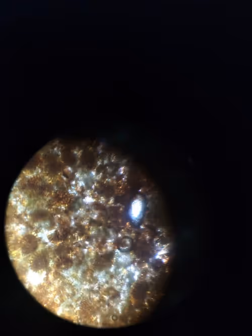 Item #12499860690887257293727532681291822536045842218714555575181684135178719461377 Media