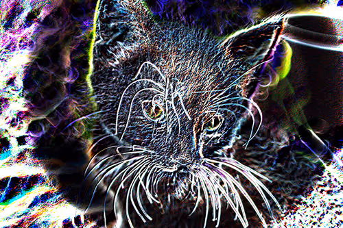 Item #52128850508220609530869005865198535686398736578536669688006949352406173876234 Media