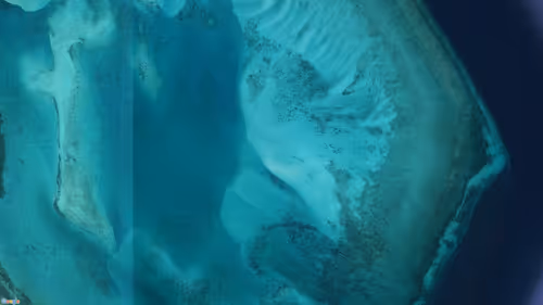 Item #21766675222774875702069380138995276219631073462771150610816623019200297828353 Media