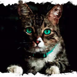 11276162529628641556553056529614973332754405277106184420845745088393358868481