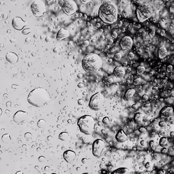 Rainy Daze2