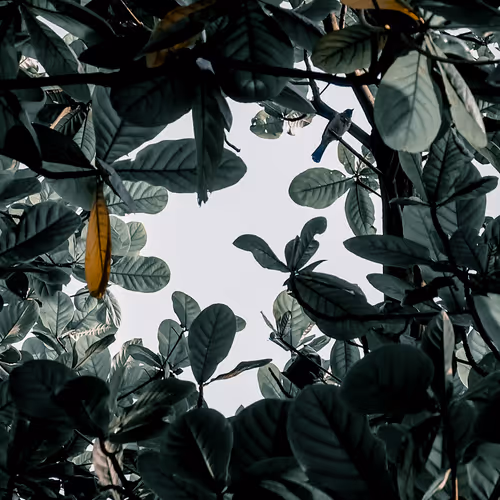 Item #36758969223495404699269639953612923914157556199761457656619876335703753228289 Media